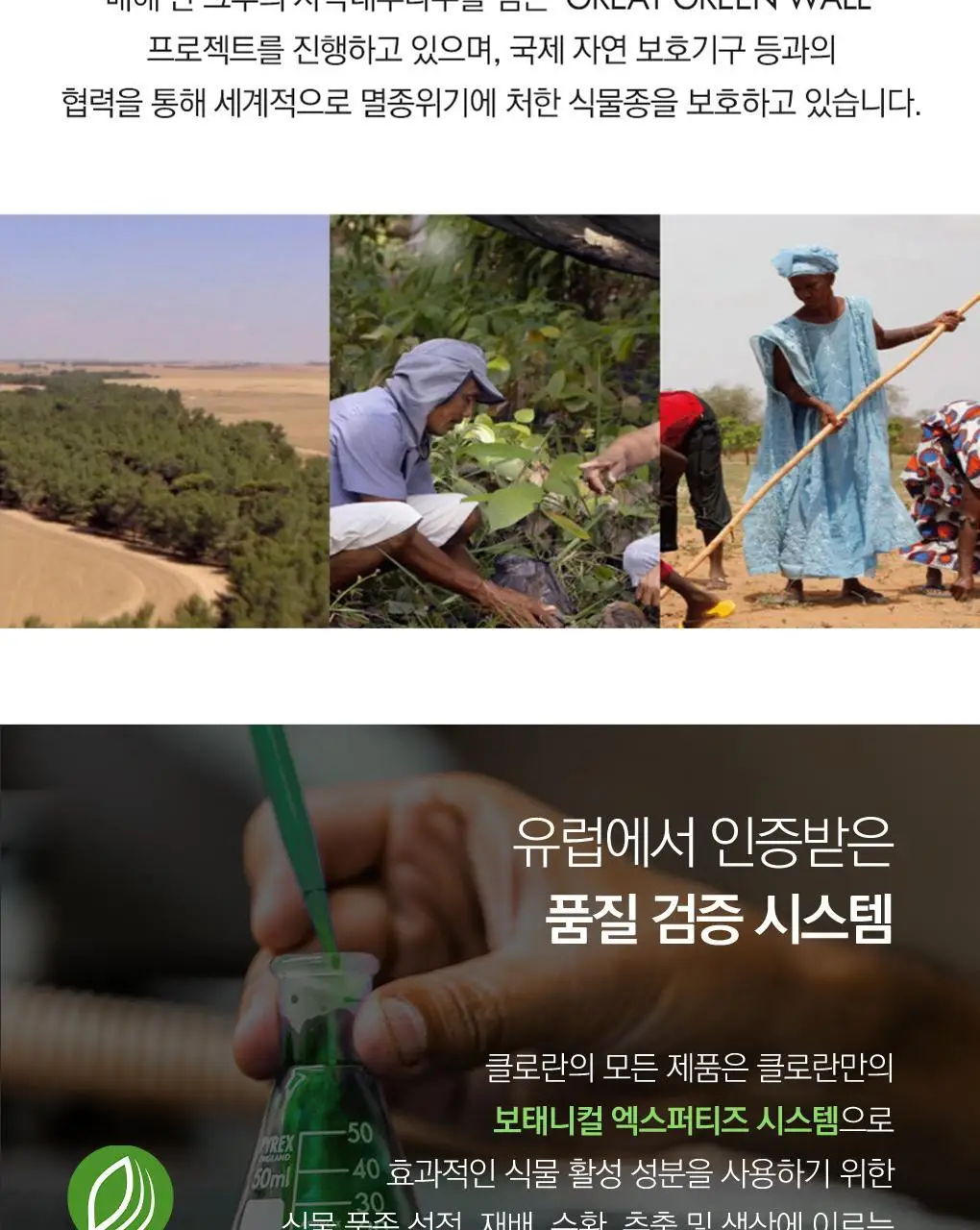 [지성두피 & 피지 제거] 클로란 네틀 노세범 드라이 샴푸 50ml 상세페이지 28
